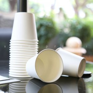 Biodegradable Paper Cup