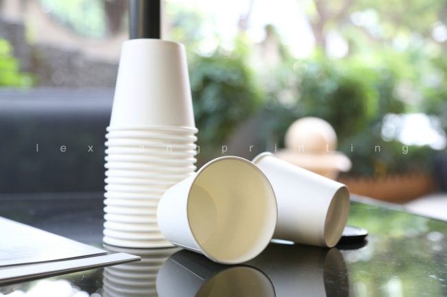 Biodegradable Paper Cup